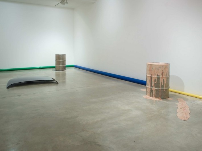 8. Jimmie Durham Traces and Shiny Evidence. Installation image. Photo Stephen White